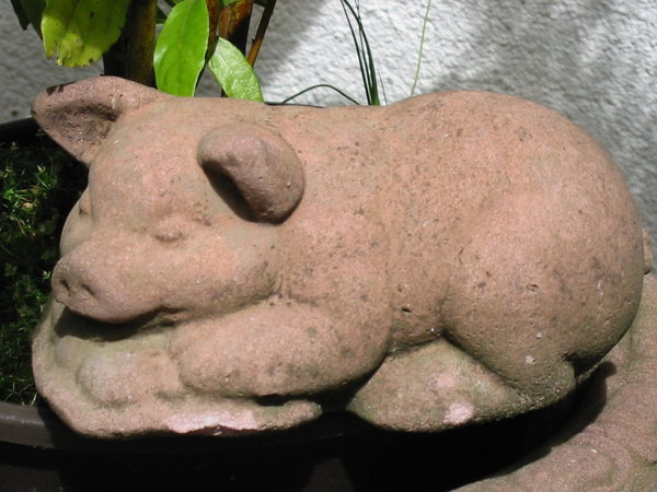 P 01 Schwein Mini