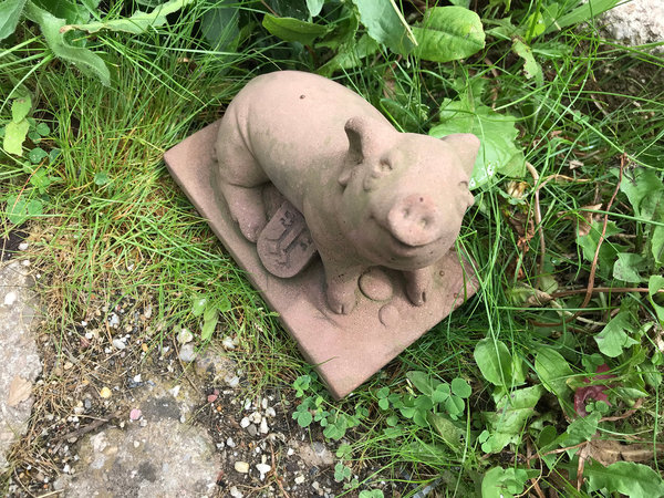 Schwein grunzend Wappen Wittlich