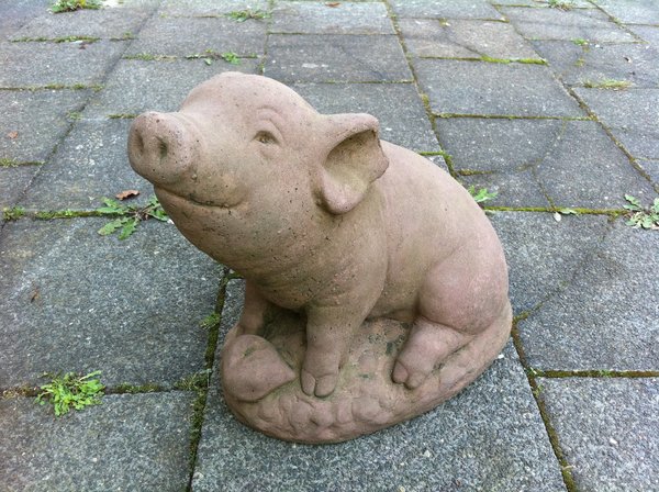 P 14 Schwein sitzend (groß)