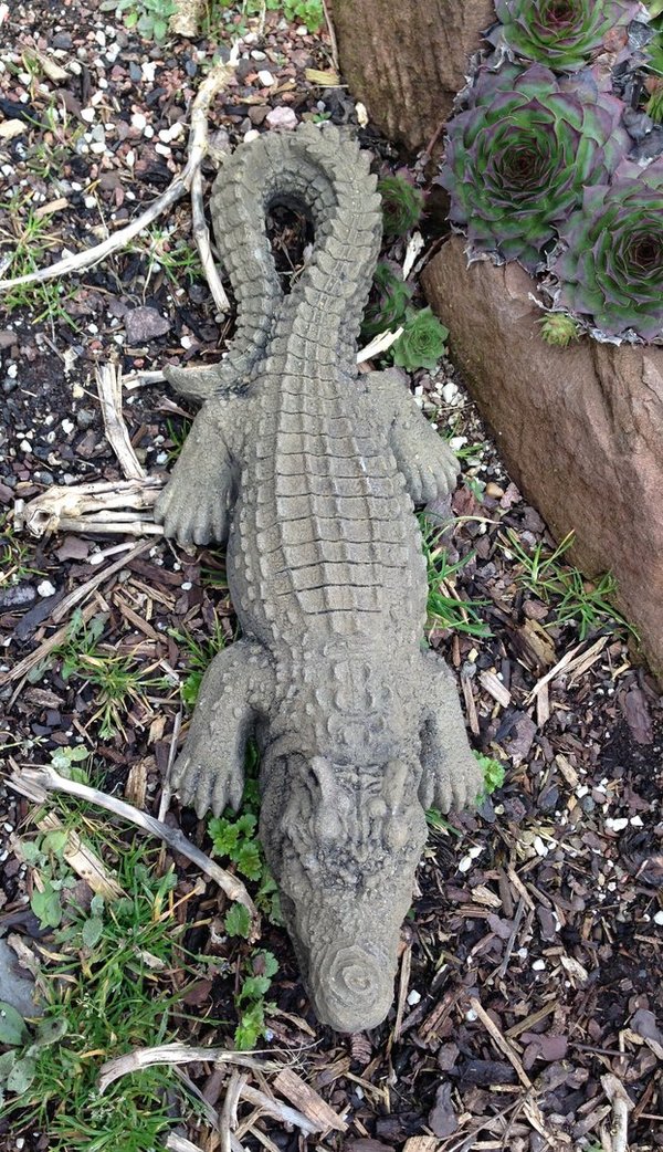 S 35 Krokodil